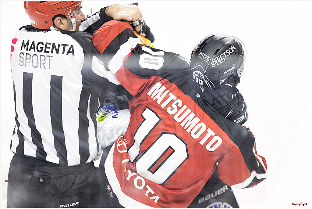 PENNY DEL;  Koelner Haie - Fischtown Pinguins Bremerhaven; Koeln, 03.01.2022